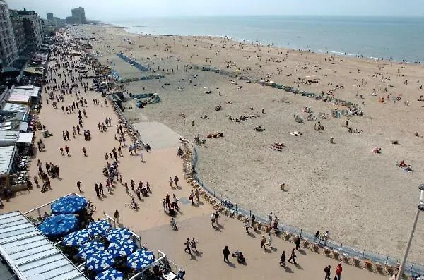 Toffe Op 300m De Zeedijk Appartement